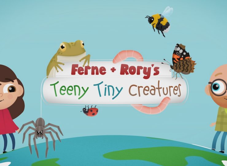 CBeebies
